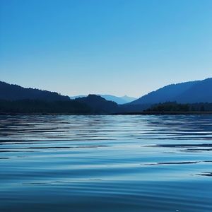 Meet your Posher, Grant